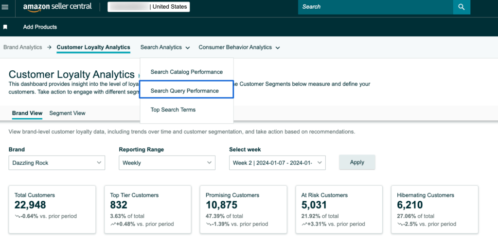 Brand-Analytics search query performance