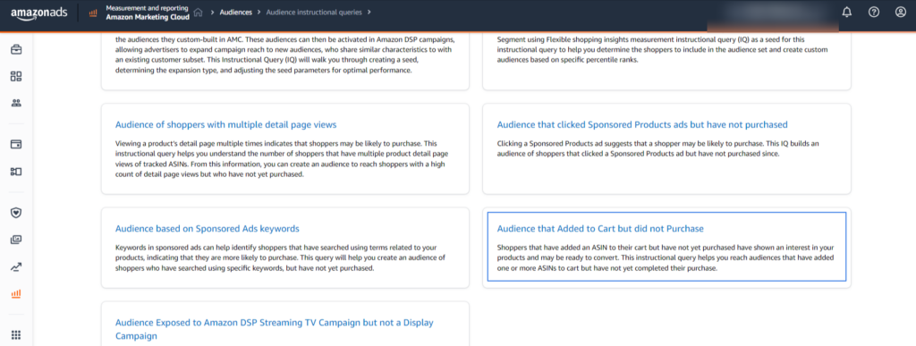 Custom Audience Instructional Queries