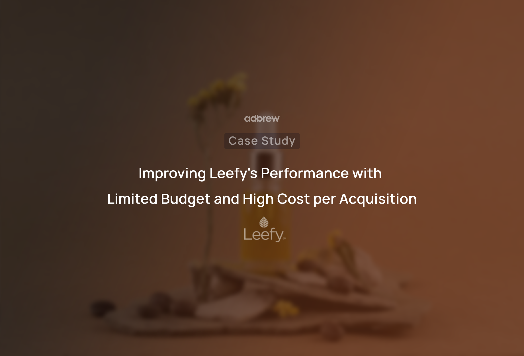 Improving Leefy’s Performance with Limited Budget and High Cost per Acquisition